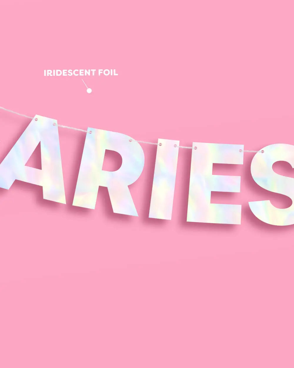 Aries Baby Banner - iridescent foil banner xo, Fetti