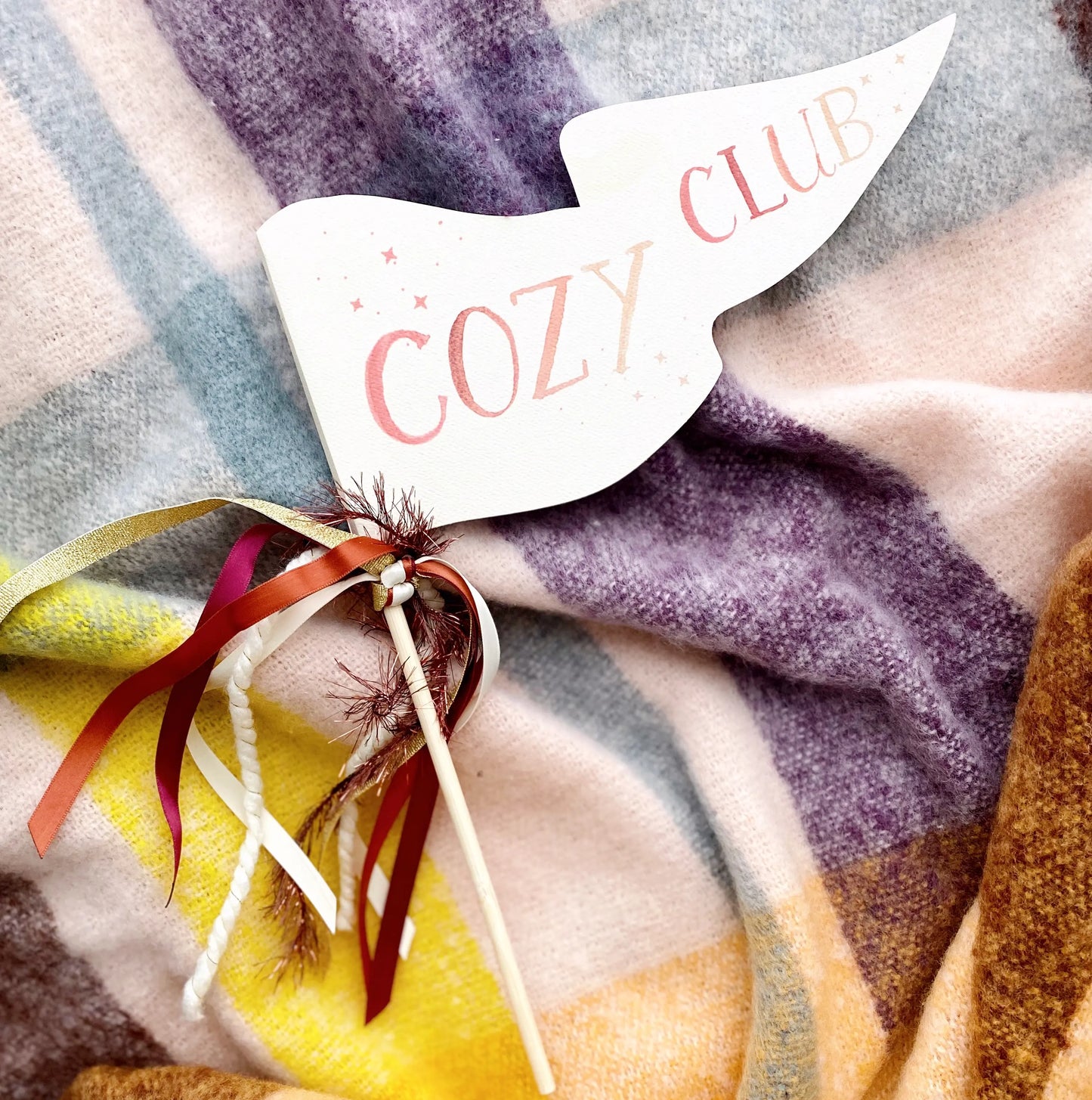 Cozy Club Party Pennant Cami Monet