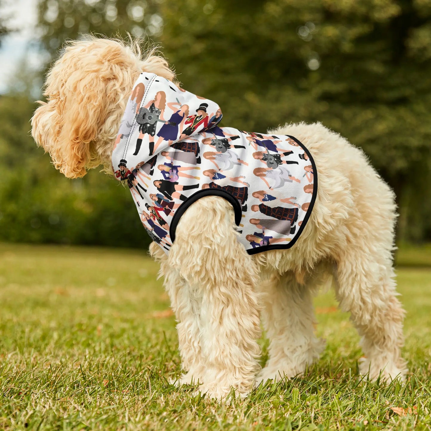 Eras Tour Cat Hoodie Printify