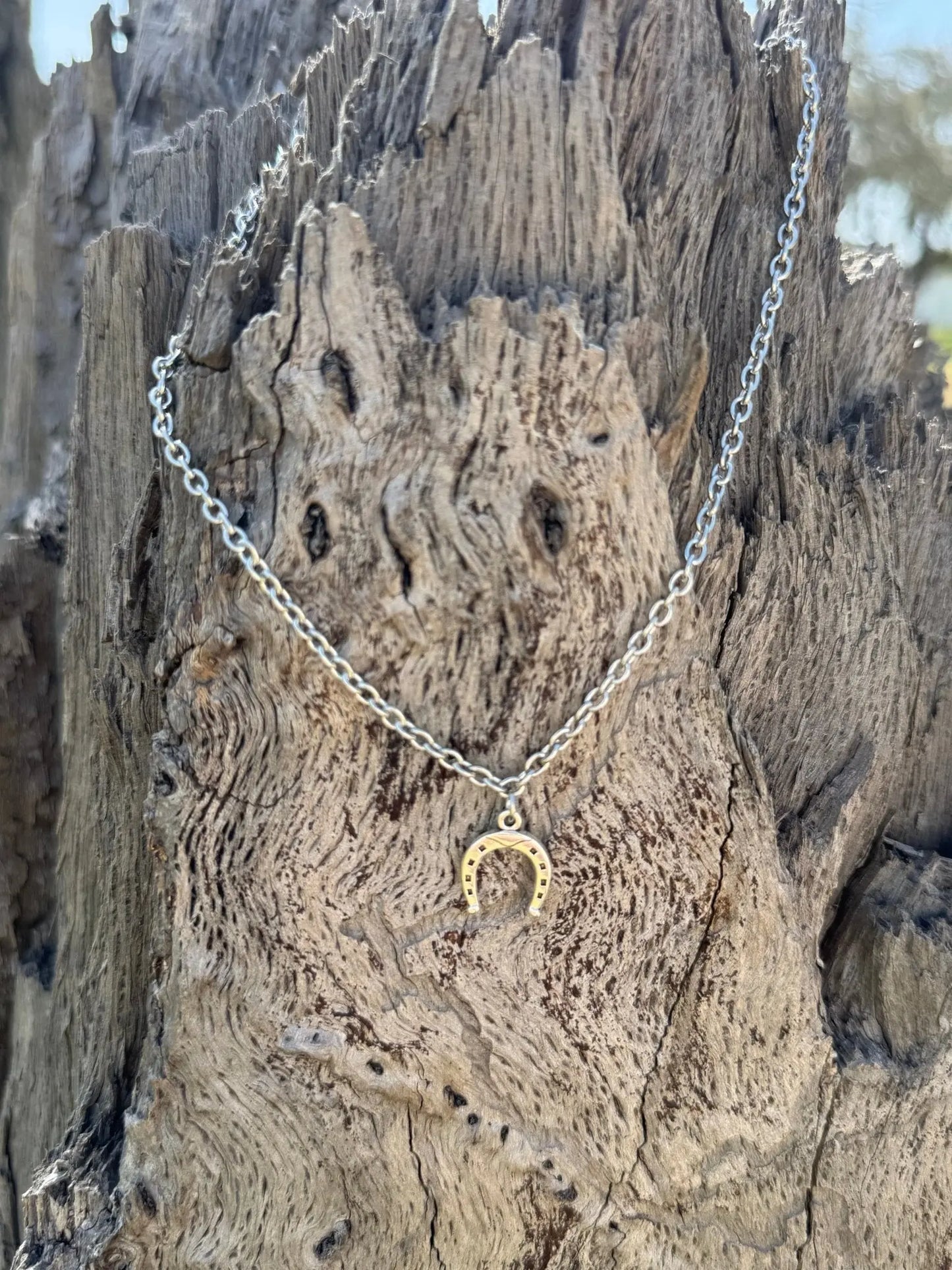 Horseshoe Pendant Necklace Wild Junkie
