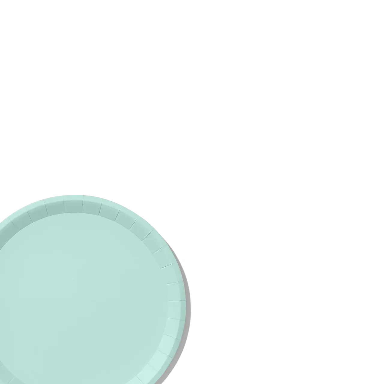 Mint Classic Large Plates (10 per pack) Coterie