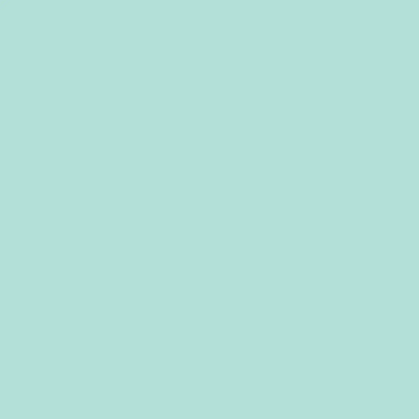 Mint Classic Large Plates (10 per pack) Coterie