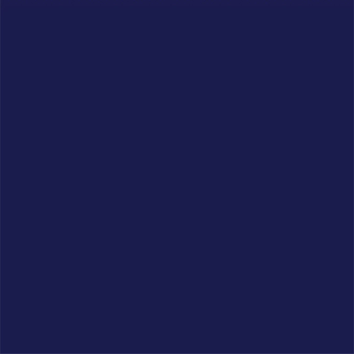 Navy Classic Small Plates (10 per pack) Coterie