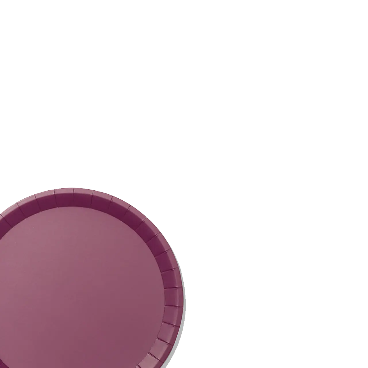 Plum Classic Large Plates (10 per pack) Coterie