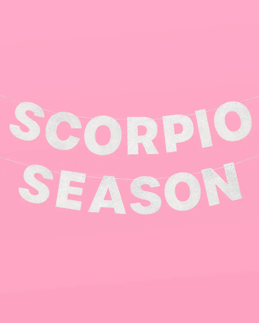 Scorpio Season Banner - silver glitter banner xo, Fetti
