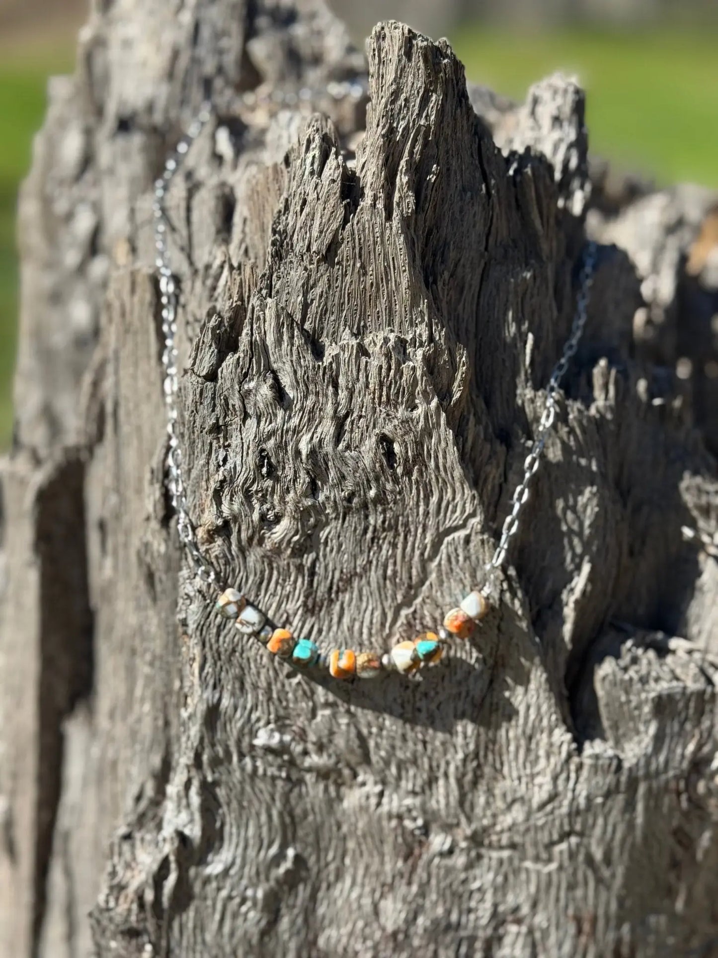 Spiny Oyster Turquoise Beaded Chain Necklace Wild Junkie