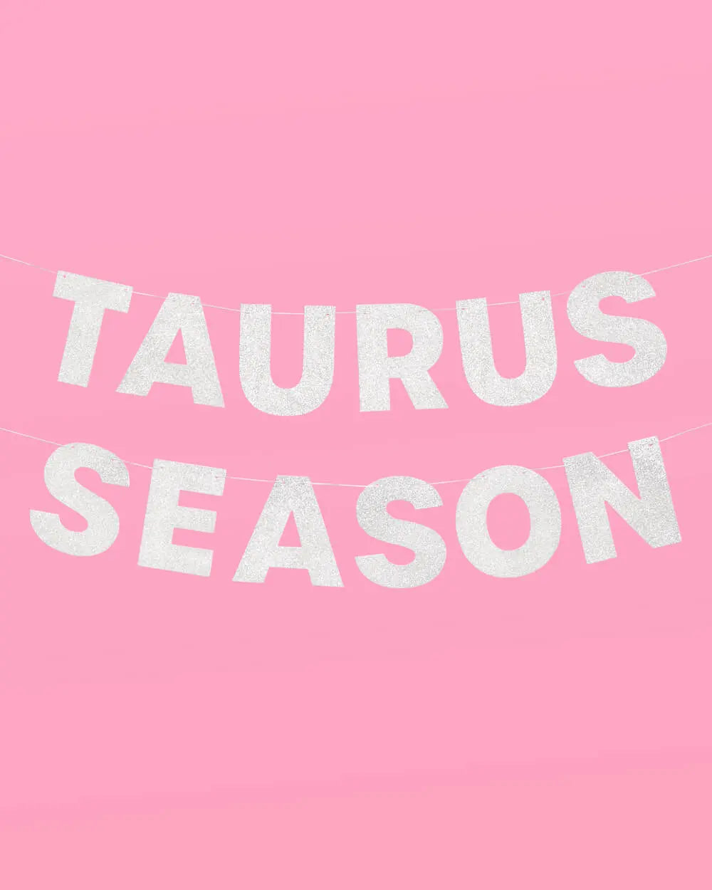 Taurus Season Banner - silver glitter banner xo, Fetti