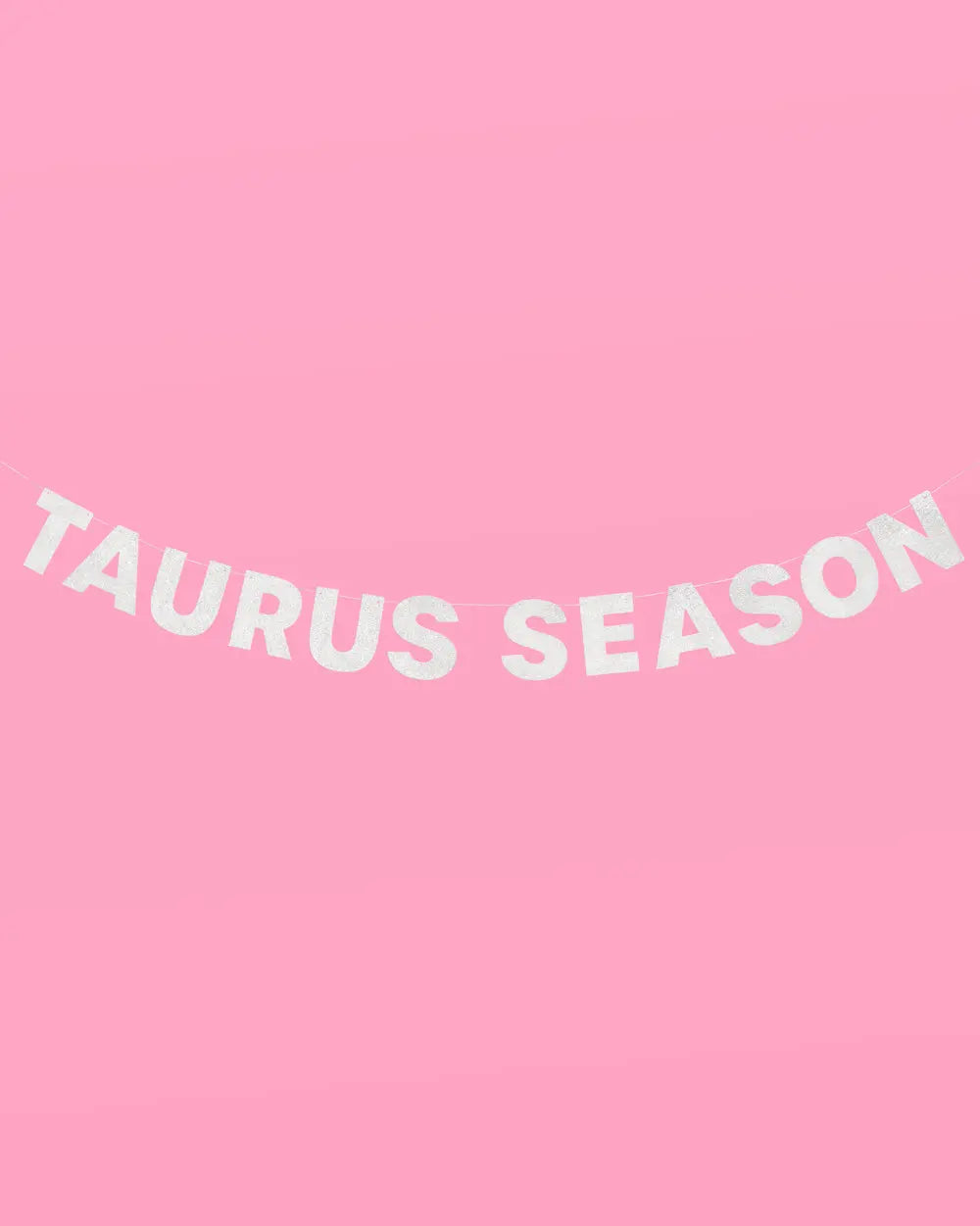 Taurus Season Banner - silver glitter banner xo, Fetti