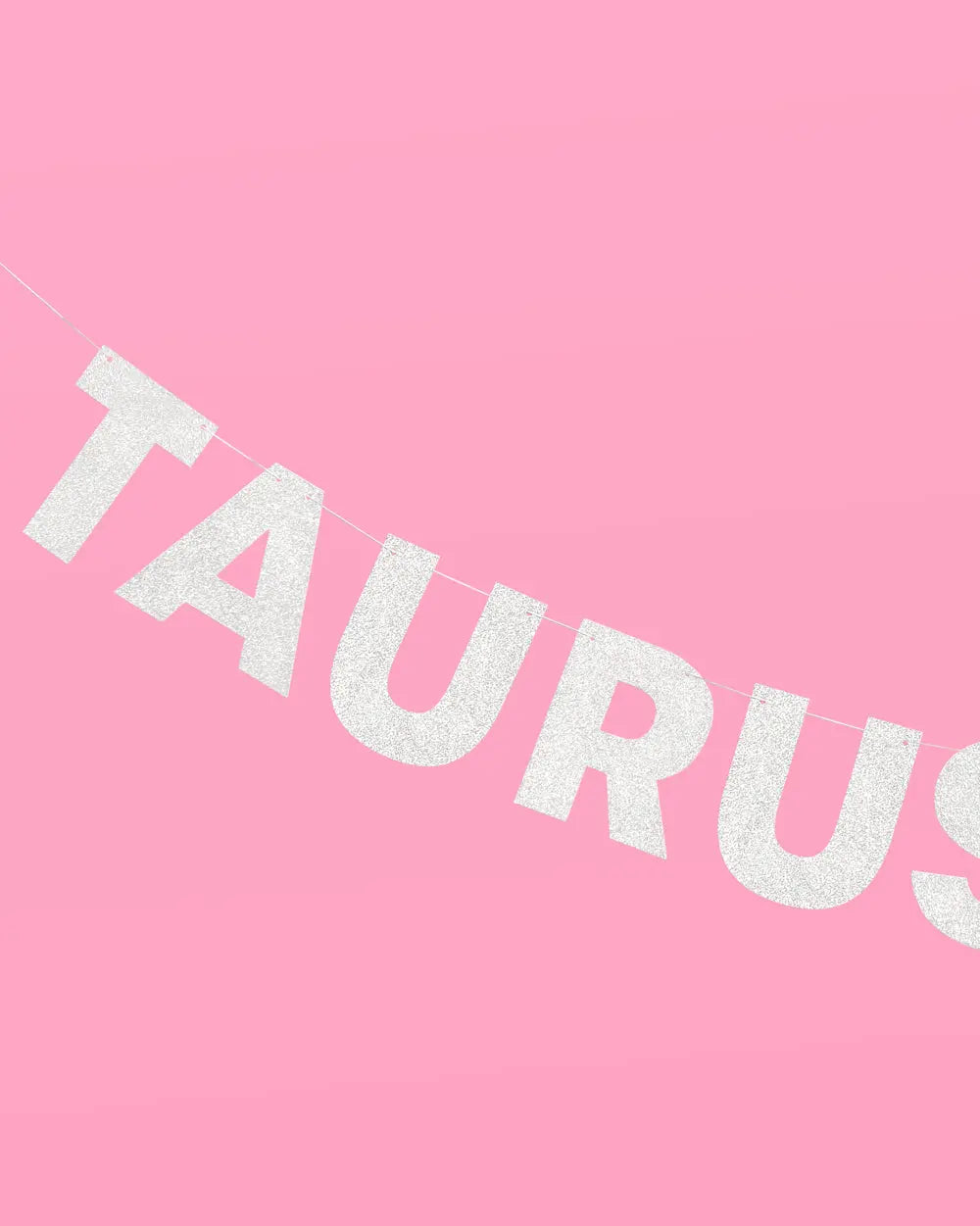 Taurus Season Banner - silver glitter banner xo, Fetti