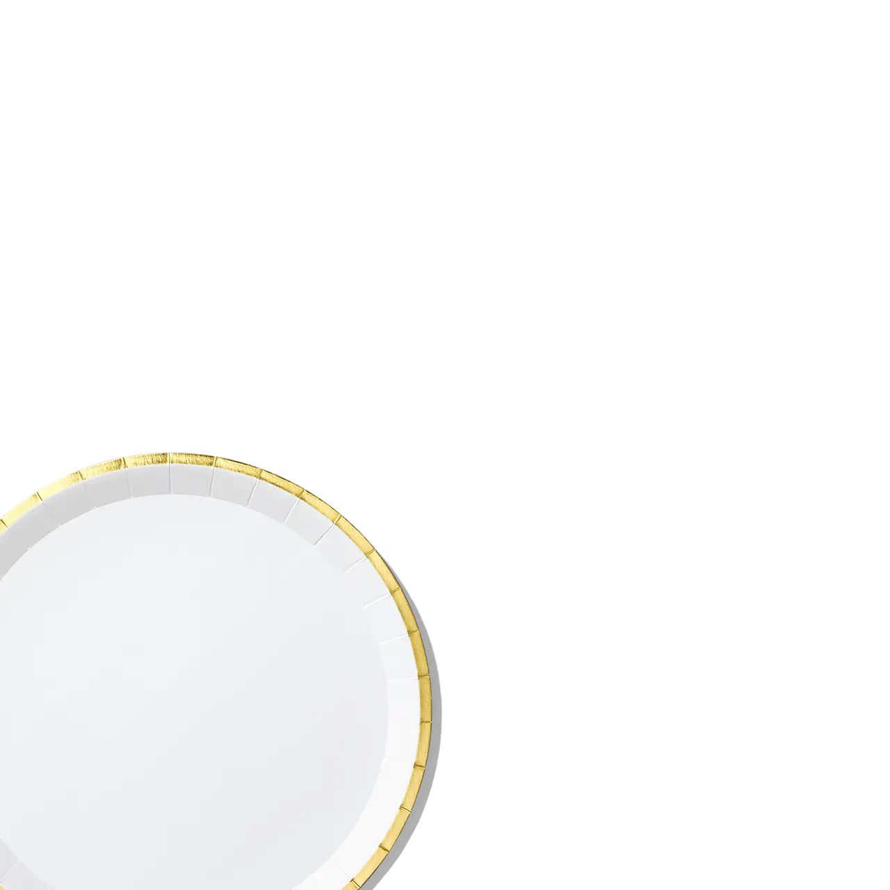 White and Gold Classic Large Plates (10 per pack) Coterie