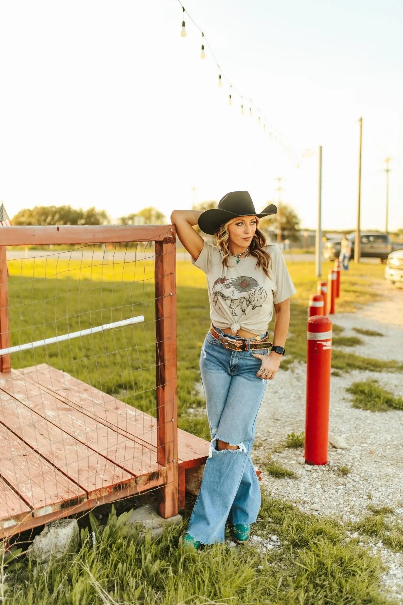 Aztec Bison Graphic Tee Wild Junkie