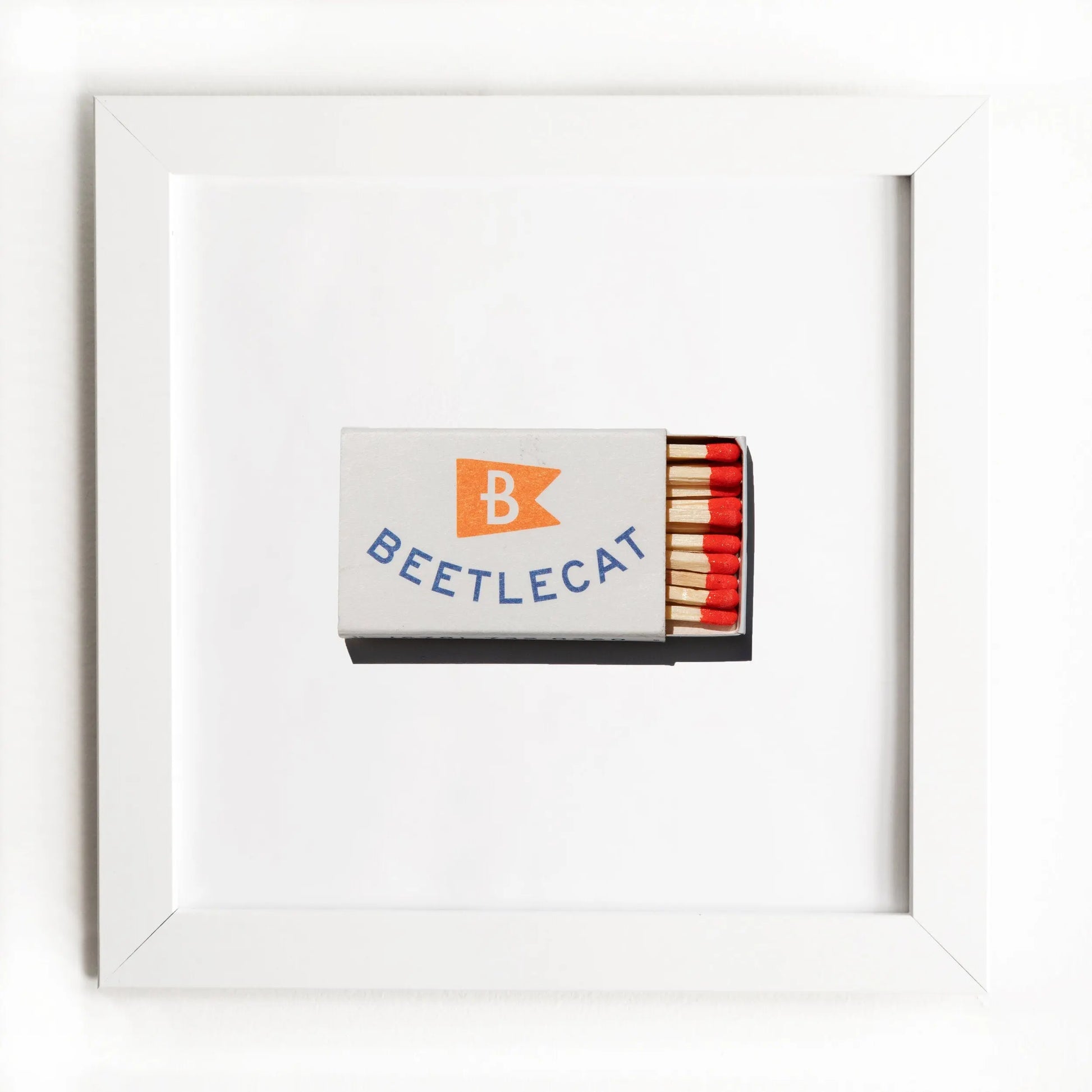 Beetlecat Match South Shop