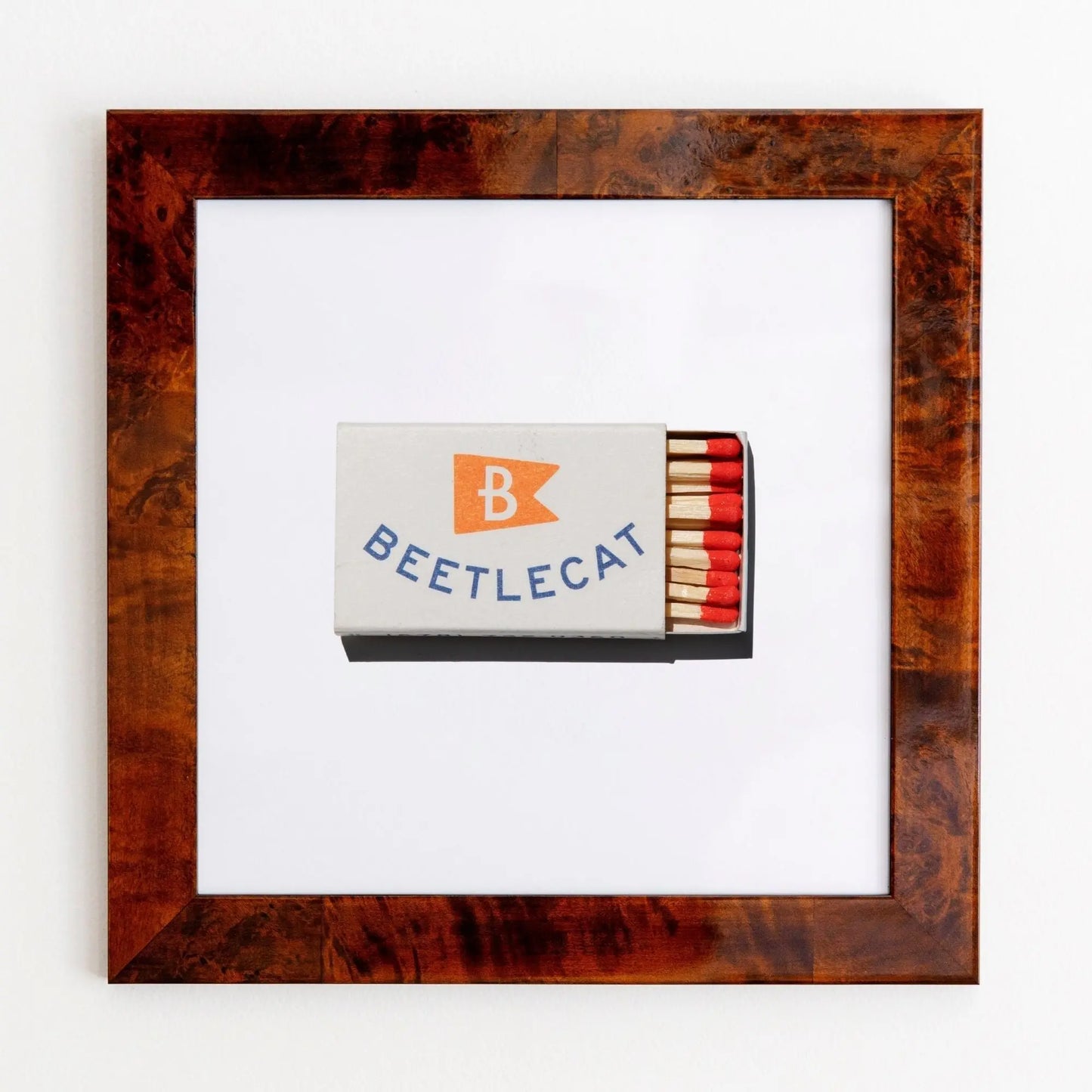 Beetlecat Match South Shop