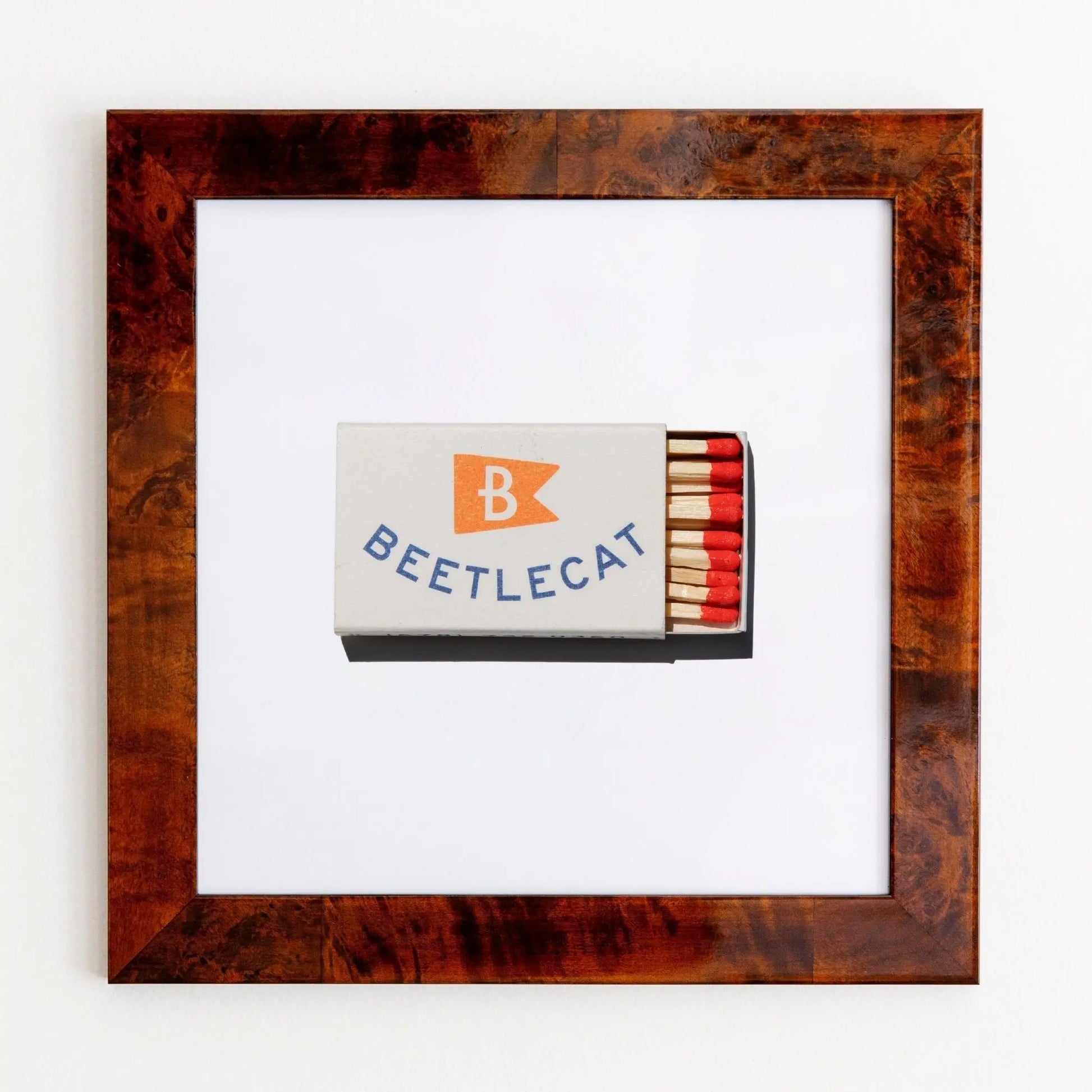 Beetlecat Match South Shop