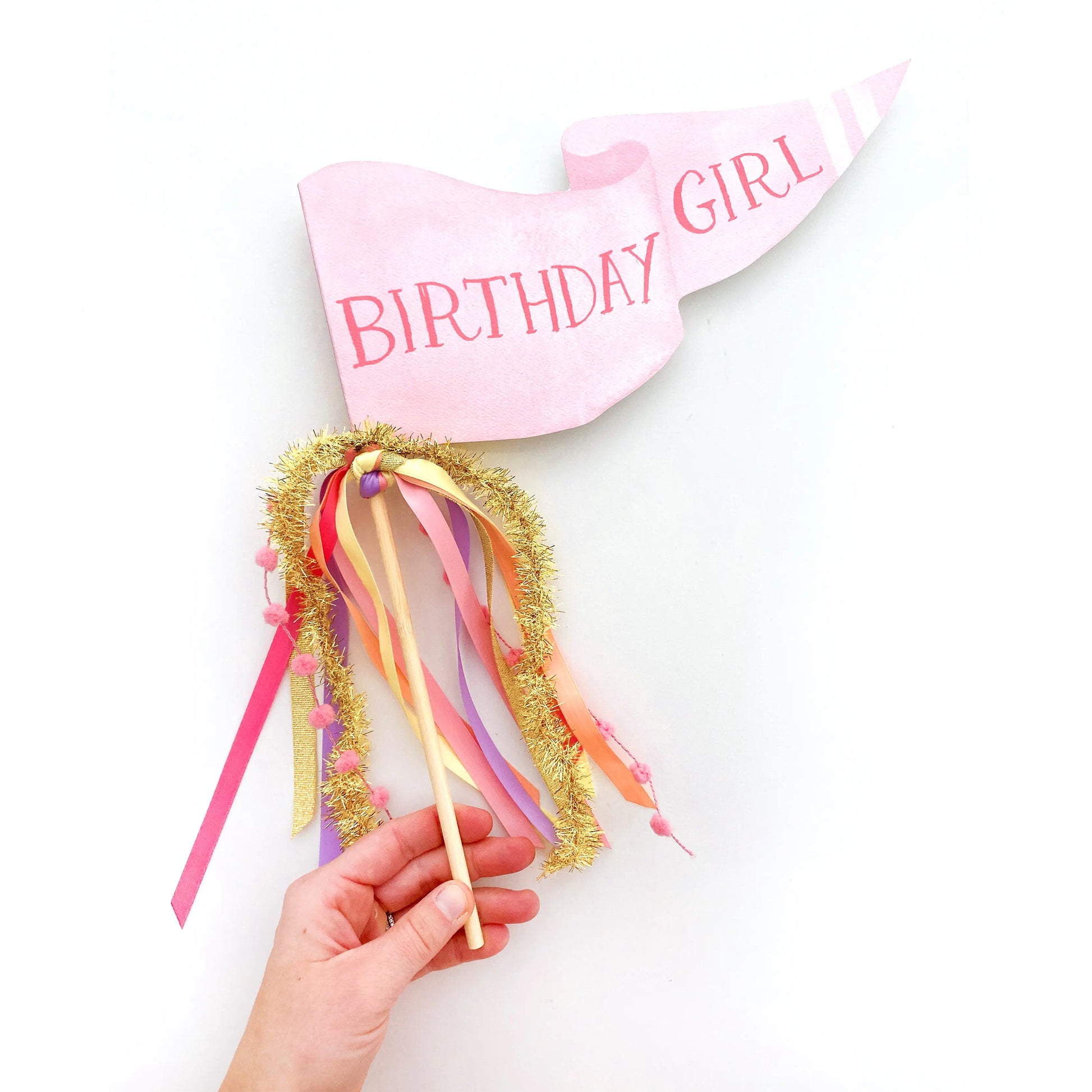 Birthday Girl Party Pennant Cami Monet