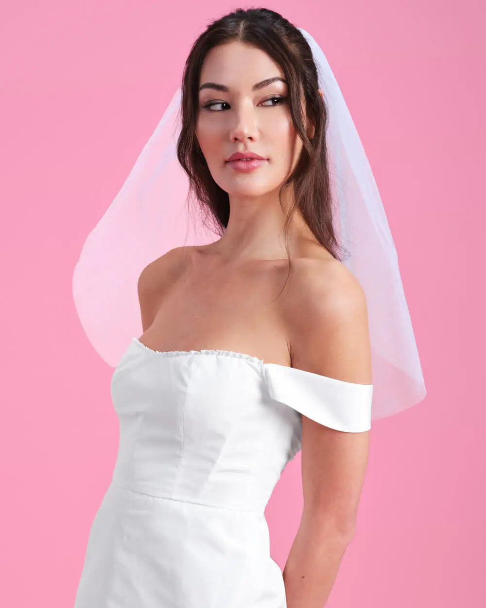 Bride To Be Veil - white embroidered veil xo, Fetti
