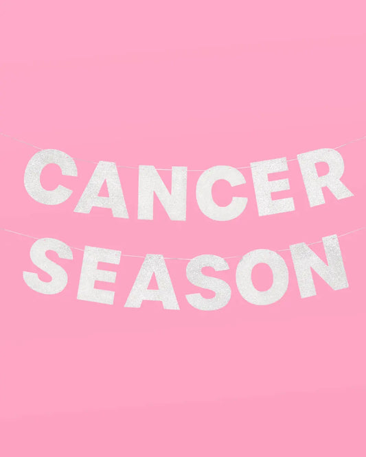 Cancer Season Banner - silver glitter banner xo, Fetti