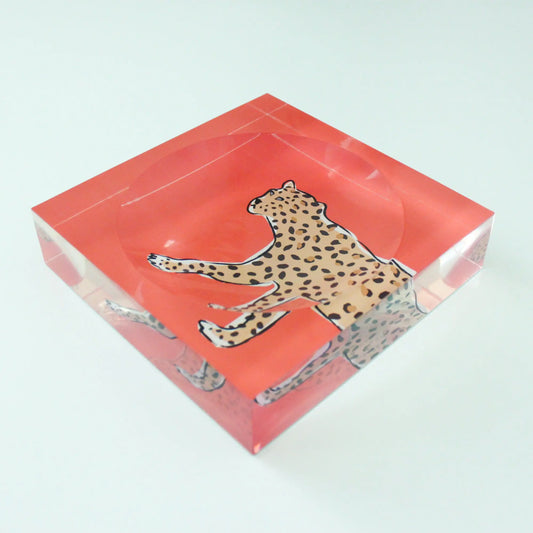 Catchall Tray - Leopard New! CB Studio