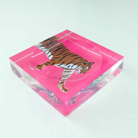 Catchall Tray - Tiger New! CB Studio