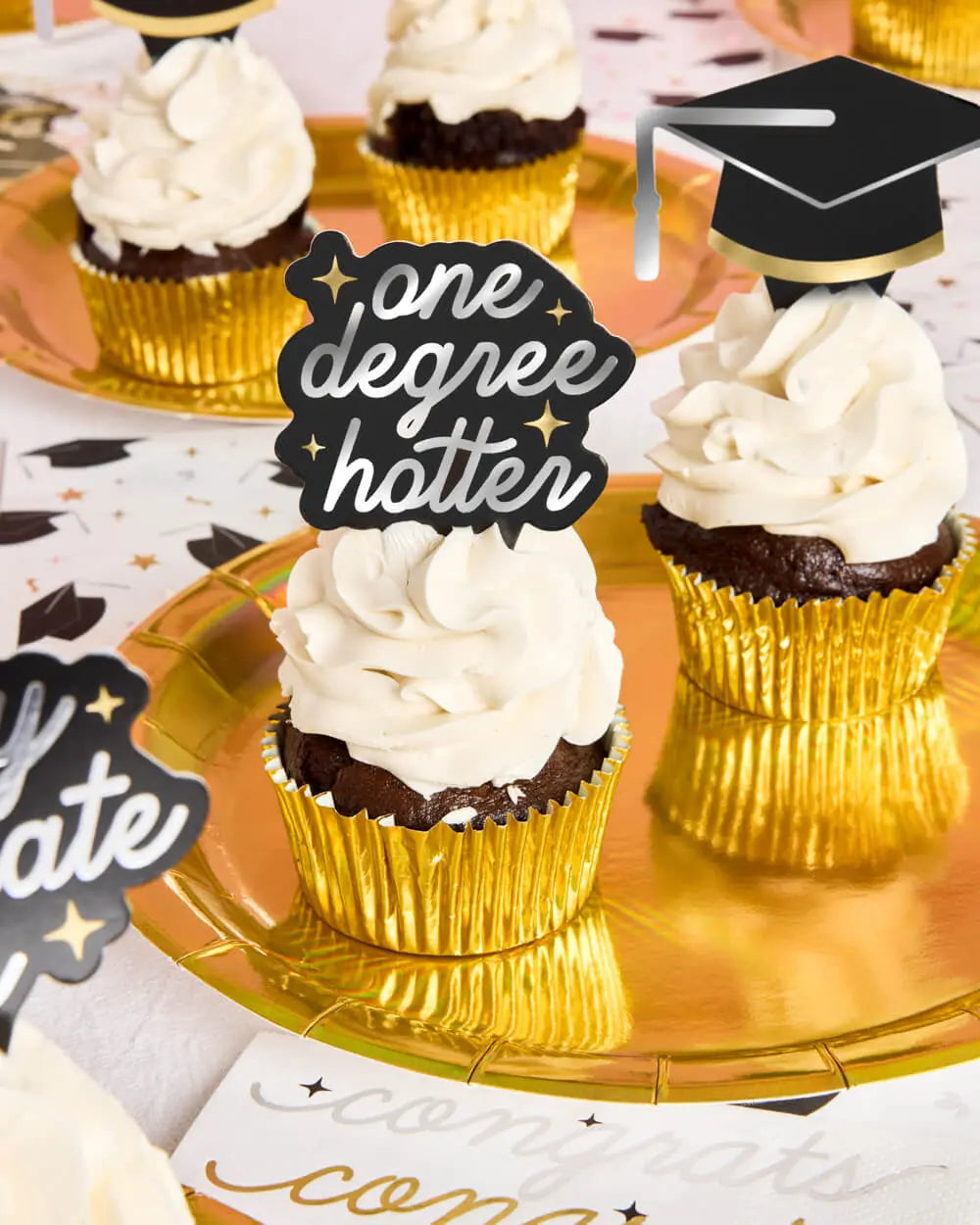 Graduation Toppers - 24 cupcake toppers xo, Fetti
