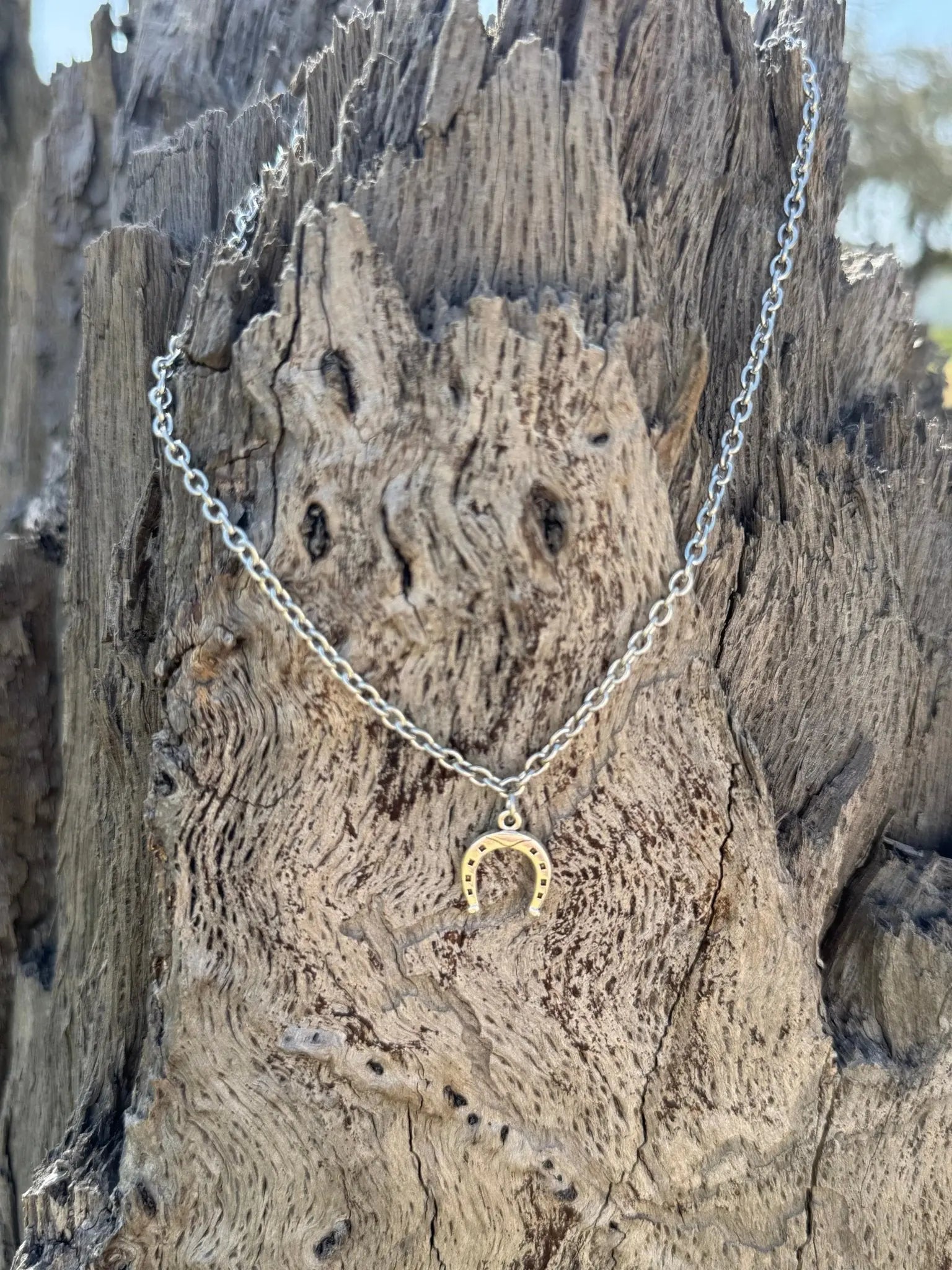 Horseshoe Pendant Necklace Wild Junkie