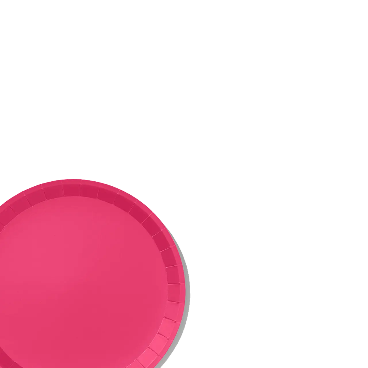 Hot Pink Classic Large Plates (10 per pack) Coterie