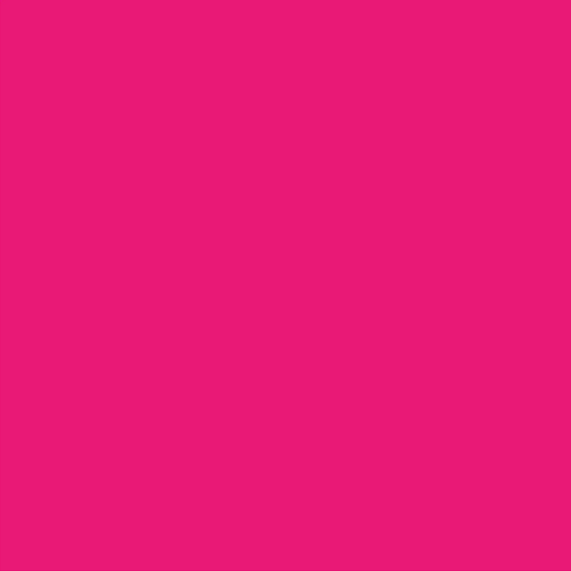 Hot Pink Classic Large Plates (10 per pack) Coterie