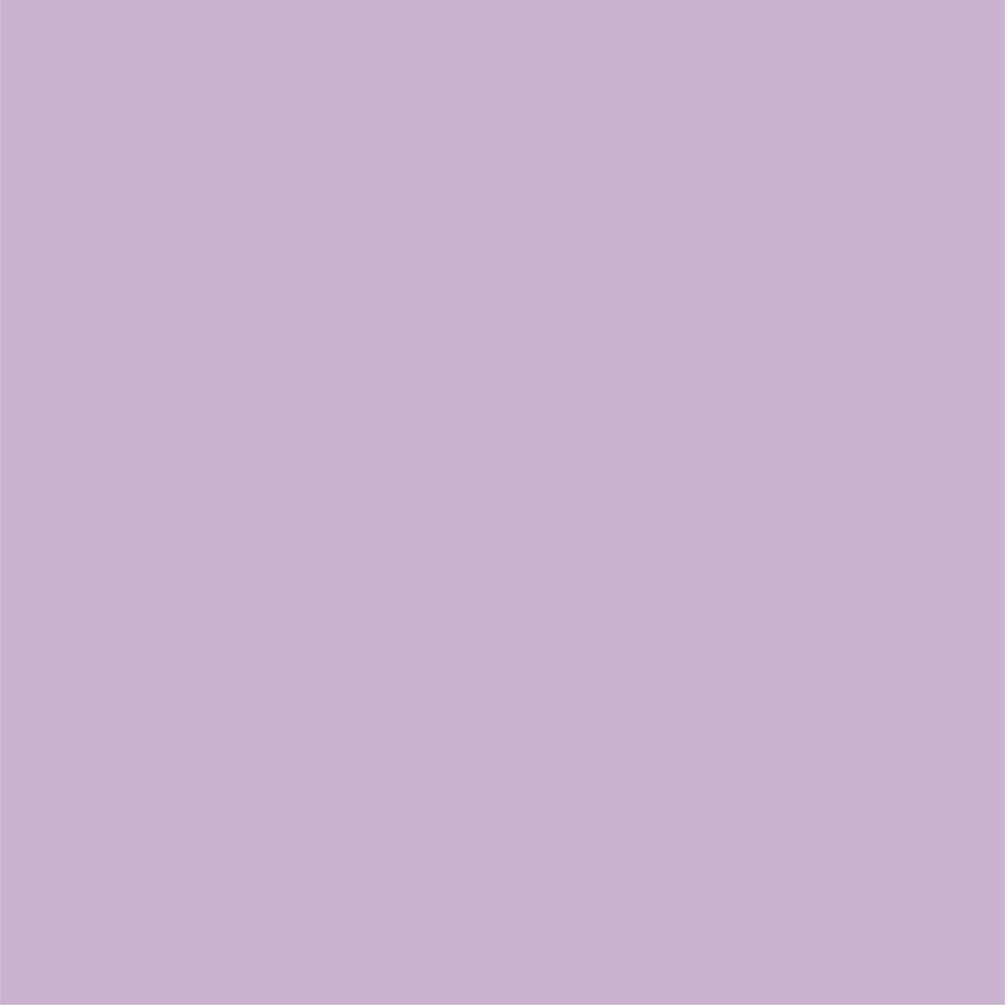 Lavender Classic Small Plates (10 per pack) Coterie
