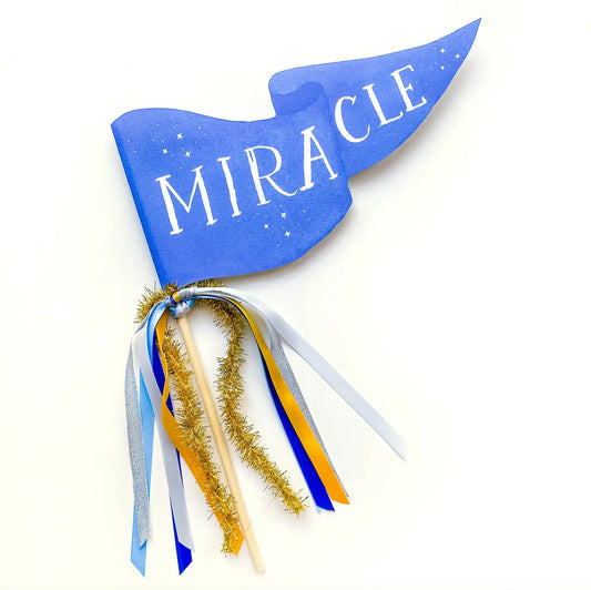 Miracle Hanukkah Party Pennant Cami Monet