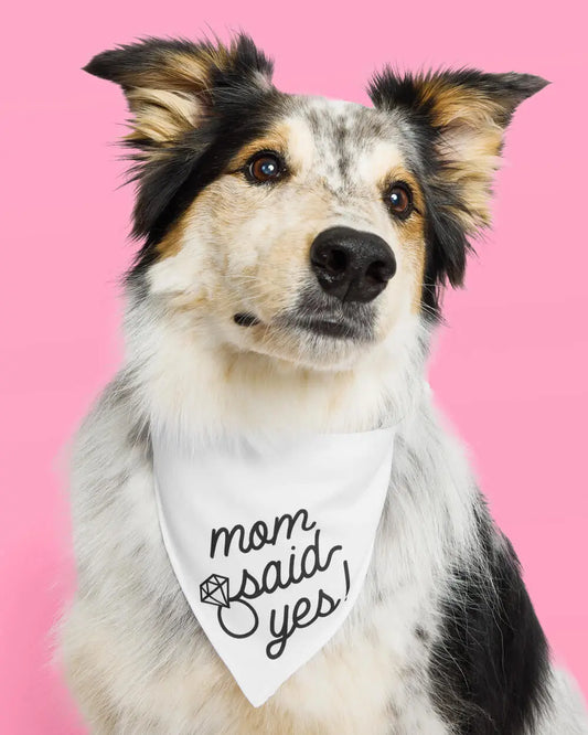 Mom Said Yes! Bandana - white pet bandana xo, Fetti