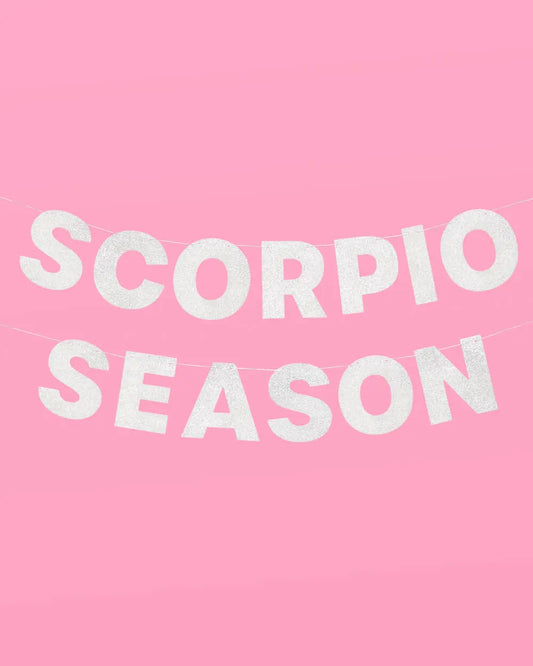 Scorpio Season Banner - silver glitter banner xo, Fetti