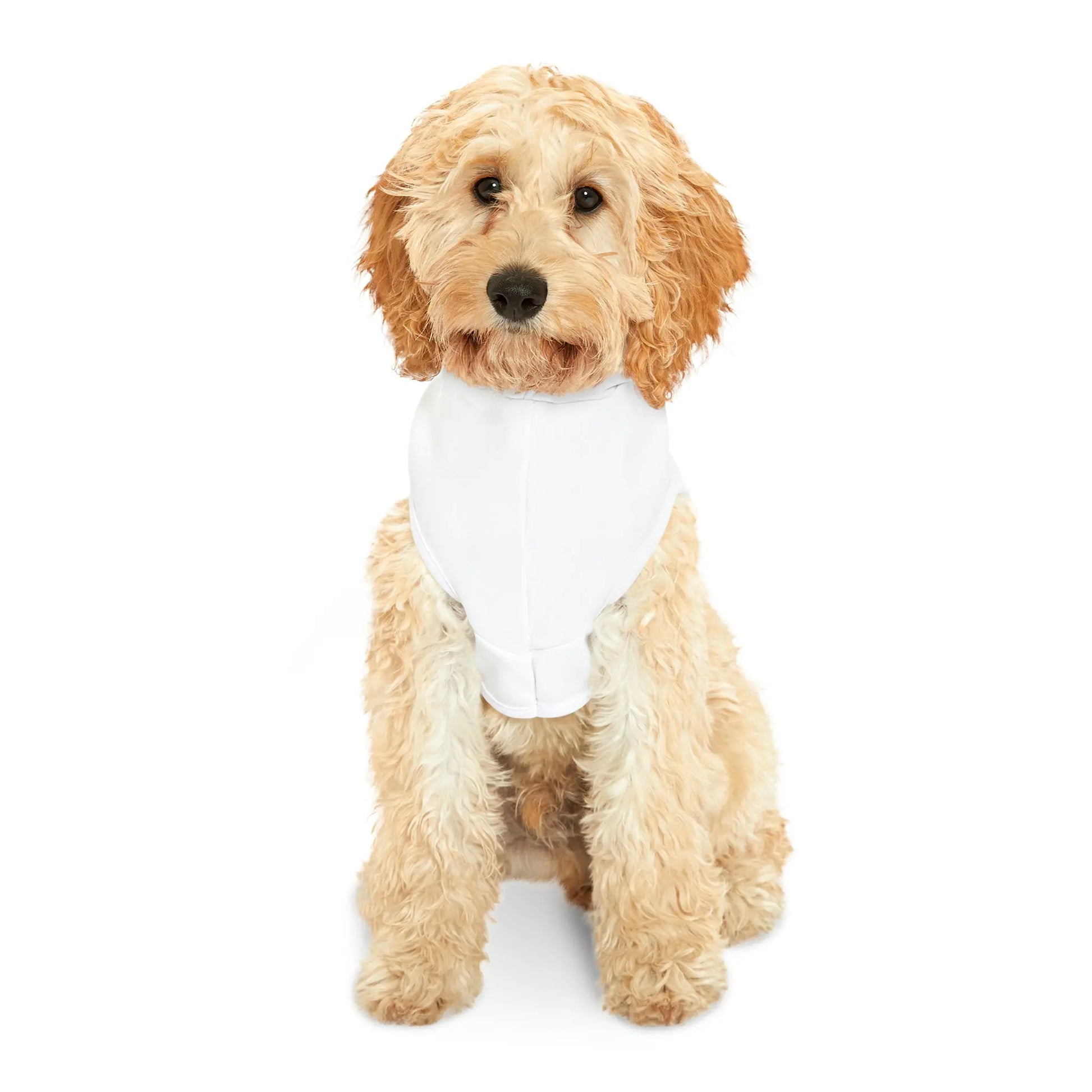 Swiftie Dog Hoodie Printify