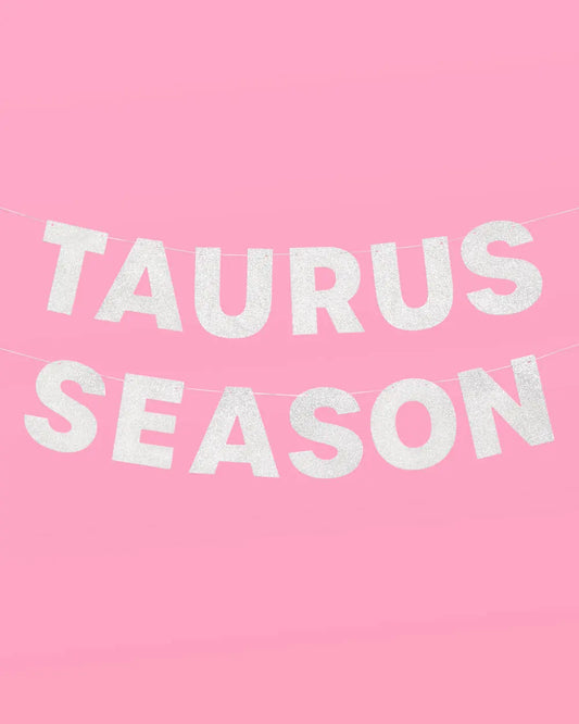 Taurus Season Banner - silver glitter banner xo, Fetti