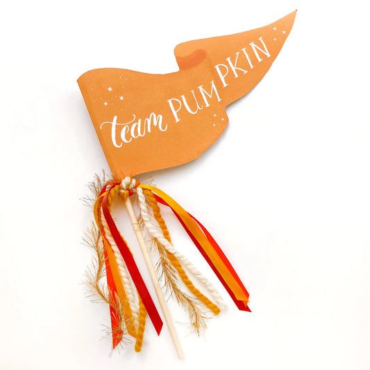Team Pumpkin Party Pennant Cami Monet