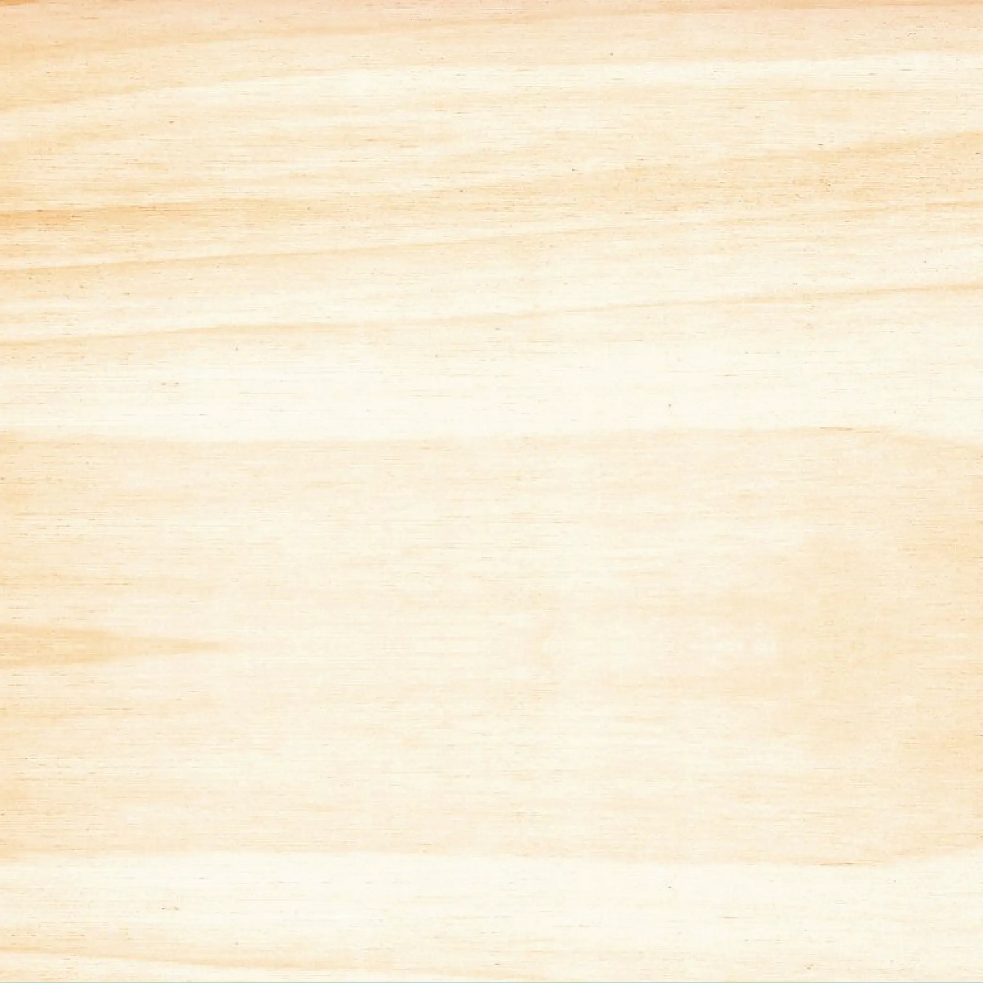 Wooden Cutlery Set (30 per pack) Coterie